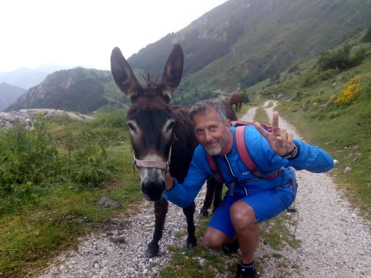 Appartamento Taverna Gattolini Venzone Exteriér fotografie